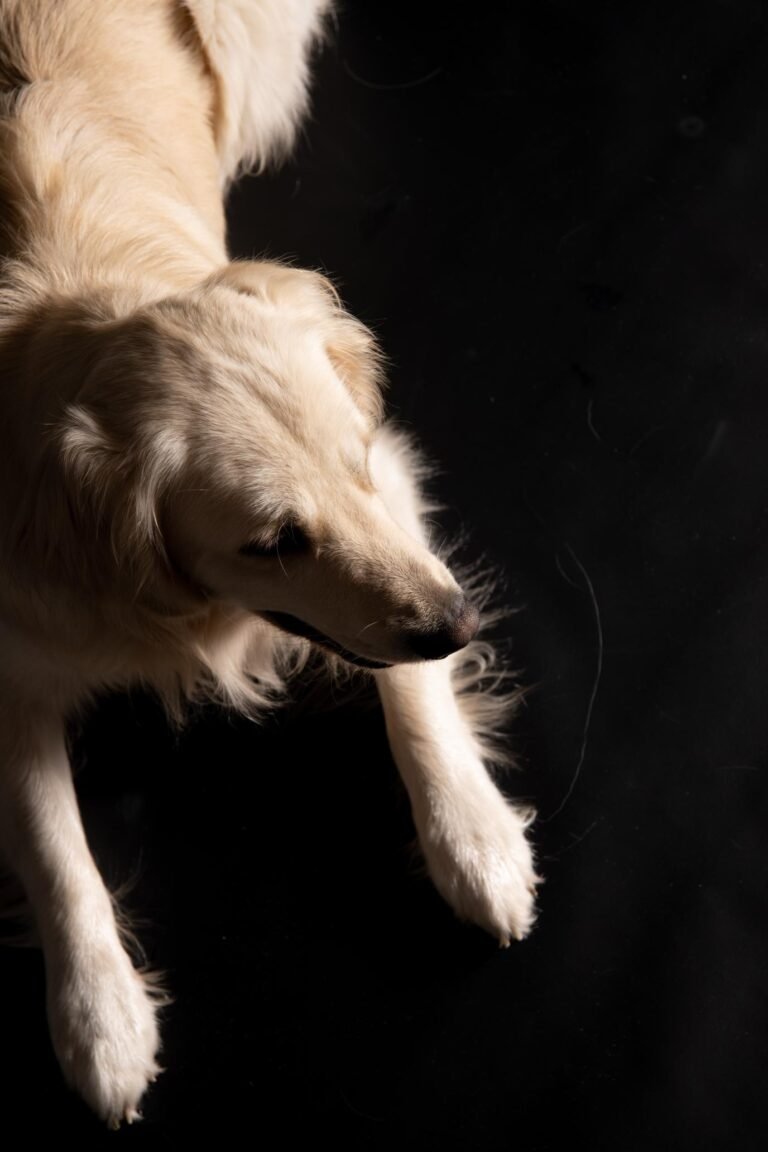 Ik heb een chronische ziekte en heb moeite om dit te accepteren;