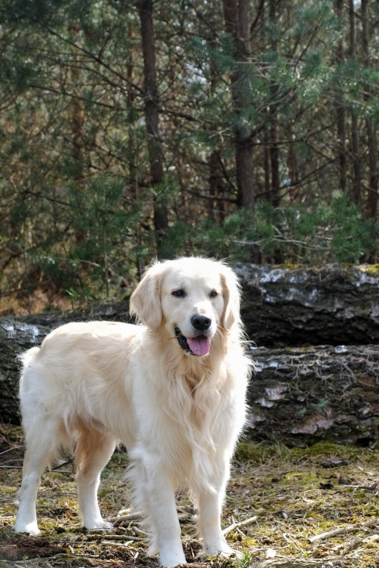 Ik voel me vaak onzeker;