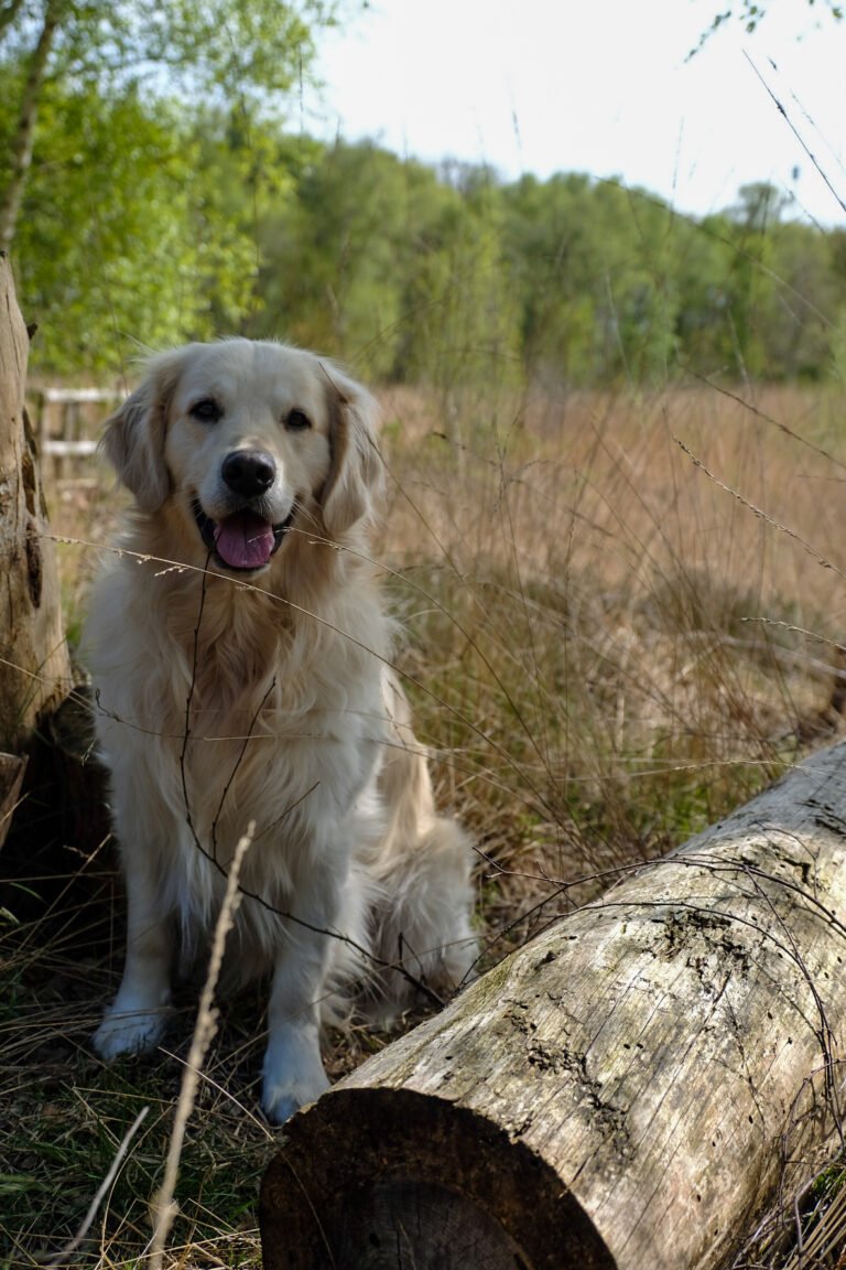 Ik heb moeite om mijn eigen grenzen te kennen en/of aan te geven;