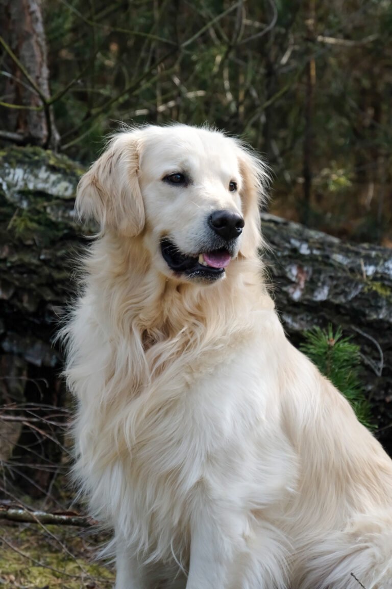 Ik heb (kenmerken van) autisme en dit zit mijn dagelijks functioneren in de weg