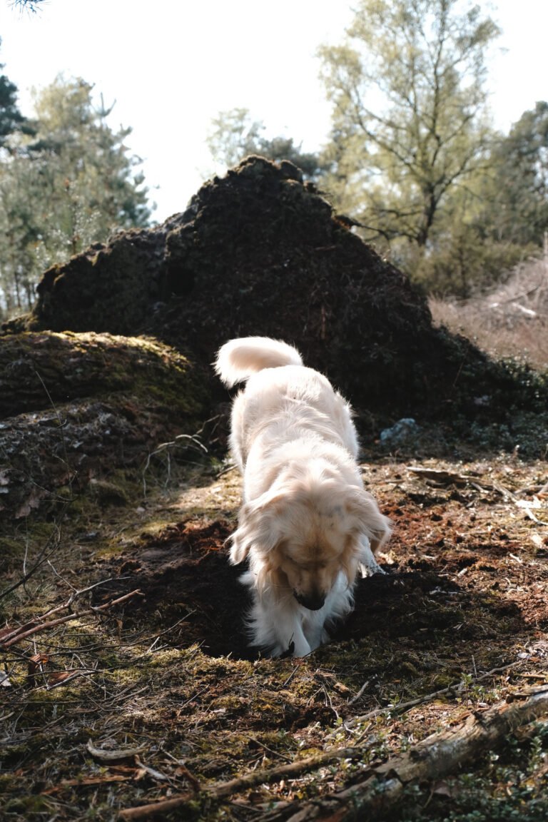 Ik please veel en wens dit af te leren;